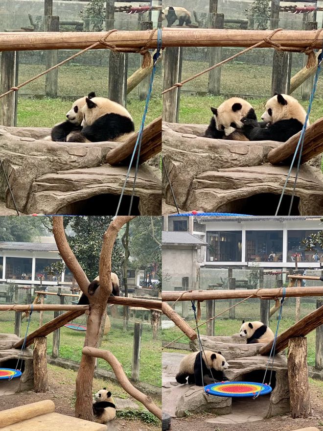 序带老人小孩去重庆旅游五天需要多少钱尊龙凯时app平台重庆5天游玩景点顺(图5)