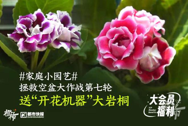要几分钟？橙柿请你挑战自我尊龙凯时app爬60层楼(图9)